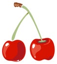 Red ripe berries. Cherry pair cartoon icon