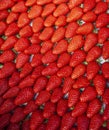 Red ripe berries of garden strawberries Royalty Free Stock Photo