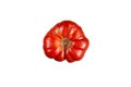Red ripe Bull`s Heart Heirloom Tomato whole top view isolated against pure white background Royalty Free Stock Photo