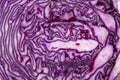 red ripe cabbage lying in the kitchen during cooking