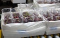 Red ripe cherries being bagged for shipment in a fruit packaging warehouse to market Royalty Free Stock Photo