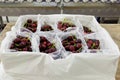 Red ripe cherries being bagged for shipment in a fruit packaging warehouse to market Royalty Free Stock Photo