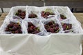 Red ripe cherries being bagged for shipment in a fruit packaging warehouse to market Royalty Free Stock Photo