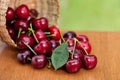 Red Ripe Cherries spilling from basket on a wood table Royalty Free Stock Photo