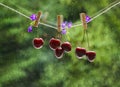 Red cherry berry on a thread with purple flowers on clothespins on a blurred background Royalty Free Stock Photo