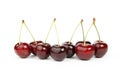 Red ripe cherries on a white background, summer fruit Royalty Free Stock Photo