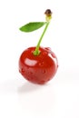 Red-ripe cherry Royalty Free Stock Photo