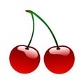 Red ripe cherry berrie food icon bio