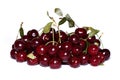 Red ripe cherry berries isolated Royalty Free Stock Photo