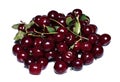 Red ripe cherry berries isolated Royalty Free Stock Photo