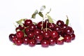 Red ripe cherry berries isolated Royalty Free Stock Photo