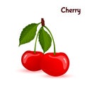 Red ripe cherry berries with leaves Royalty Free Stock Photo