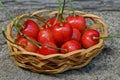 Red ripe cherry berries in a small wooden decorative basket Royalty Free Stock Photo