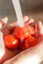 Red ripe cherry tomatoes being washed under water tap Royalty Free Stock Photo