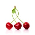 Red ripe cherry on white background Royalty Free Stock Photo