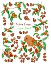 Red ripe coffee fruits branches, green leaf, orange bird and brown coffee beans illustration pattern and texts Royalty Free Stock Photo