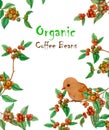 Red ripe coffee fruits branches, green leaf and orange bird  illustration pattern and texts Royalty Free Stock Photo