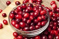 Red Ripe Cranberry Royalty Free Stock Photo