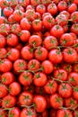 red ripe and delicious tomatoes for sale in an urban market Royalty Free Stock Photo