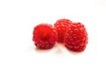 Red ripe fresh raspberries on white surface close-up Royalty Free Stock Photo