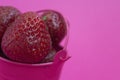 Red ripe fresh strawberries on a pink background lies in a pink bucket. spilled from a bucket of ripe strawberries.