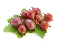 Red ripe gooseberry Royalty Free Stock Photo