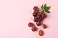 Red ripe grape on pink background, space for text Royalty Free Stock Photo