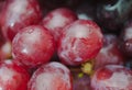 Red ripe grapes. Macro photo Royalty Free Stock Photo