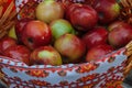 Village apple harvest