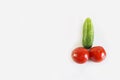 Red ripe juicy tomatoes and green cucumber. The phallic image of natural components.