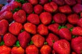 Red ripe, large strawberries for sale at local market