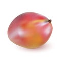 Red ripe mango closeup on wooden surface.
