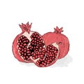 Red ripe pomegranate, a piece of pomegranate. Juicy pomegranate