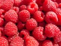 Red-ripe raspberry