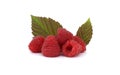 Red ripe raspberry fruits with green leaves Royalty Free Stock Photo