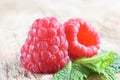 Red ripe raspberry