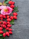 Red ripe rose-hips on gray graphite background. Top view