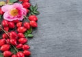 Red ripe rose-hips on gray graphite background. Top view