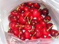 Red ripe shiny fresh sweet cherries in a bag