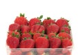 Red ripe strawberries all lined up in a container