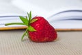 Red ripe strawberries near an expanded book_