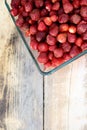 Ripe strawberries ready Royalty Free Stock Photo