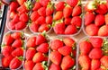 red ripe strawberries for sale at market in spring