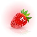 Red, ripe strawberries. Strawberry white background. Vector illustration