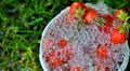 Red ripe strawberries and water bubbles in a plactic can