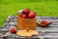 Red ripe strawberries in a wooden basket on the old boards on the background Royalty Free Stock Photo