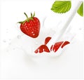 Red ripe strawberry falling into the milky splash Royalty Free Stock Photo