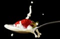 Red, ripe strawberry falling in spoon with milk Royalty Free Stock Photo