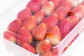 Red ripe strawberry in plastic box of packaging Royalty Free Stock Photo