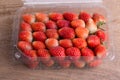 Red ripe strawberry in plastic box of packaging Royalty Free Stock Photo